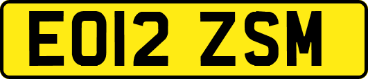 EO12ZSM