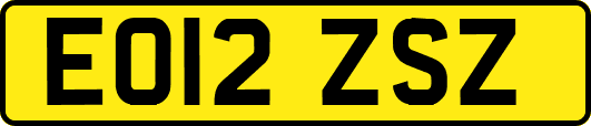EO12ZSZ