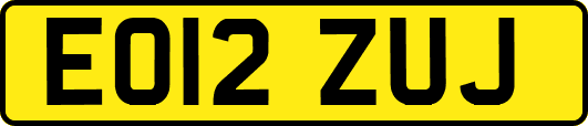 EO12ZUJ