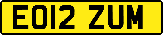 EO12ZUM