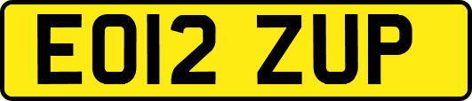 EO12ZUP
