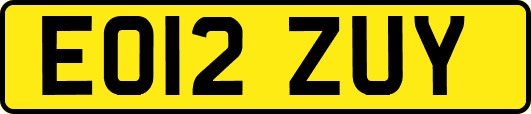 EO12ZUY