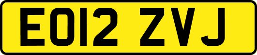 EO12ZVJ