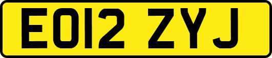 EO12ZYJ