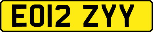 EO12ZYY
