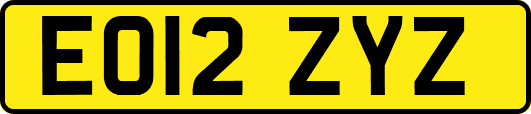 EO12ZYZ