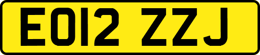 EO12ZZJ