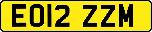 EO12ZZM