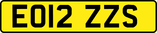 EO12ZZS