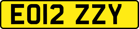 EO12ZZY