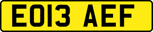 EO13AEF
