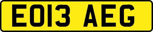 EO13AEG
