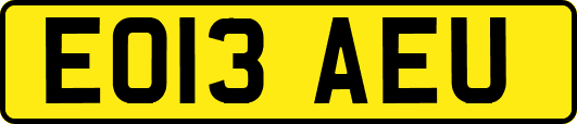EO13AEU