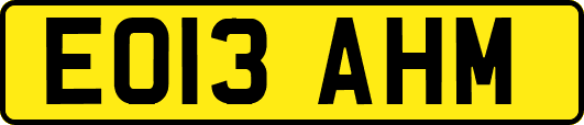 EO13AHM