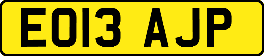 EO13AJP
