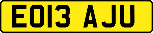 EO13AJU