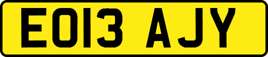 EO13AJY