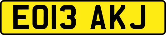 EO13AKJ