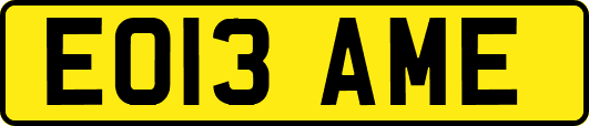 EO13AME