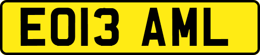 EO13AML