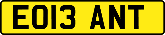 EO13ANT