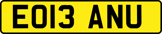 EO13ANU