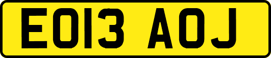 EO13AOJ