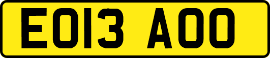 EO13AOO