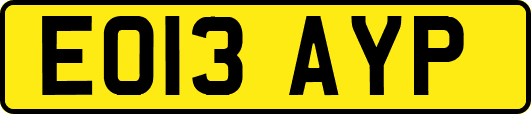 EO13AYP