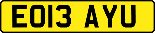 EO13AYU