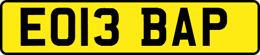 EO13BAP
