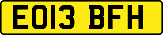 EO13BFH
