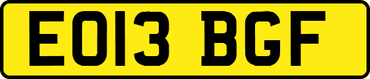 EO13BGF