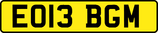 EO13BGM