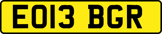 EO13BGR