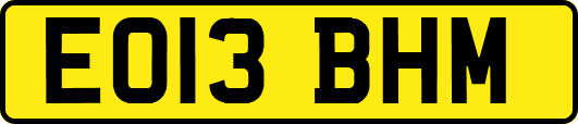 EO13BHM