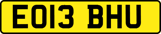 EO13BHU