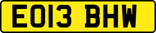 EO13BHW