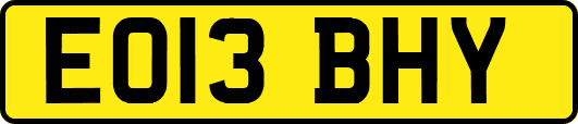 EO13BHY