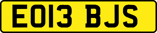 EO13BJS