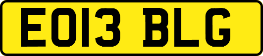 EO13BLG
