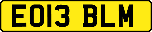 EO13BLM