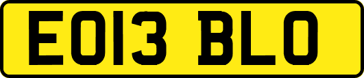 EO13BLO