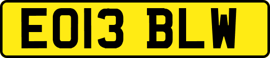 EO13BLW