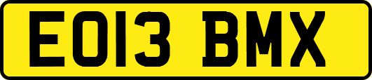 EO13BMX