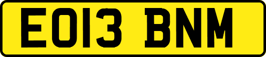 EO13BNM