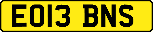 EO13BNS