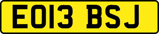 EO13BSJ