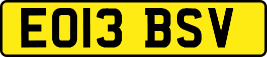 EO13BSV