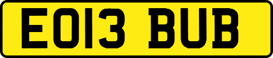 EO13BUB